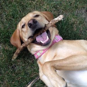 Meet your Posher, Mitzi